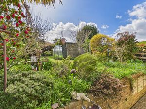 Lawn- click for photo gallery